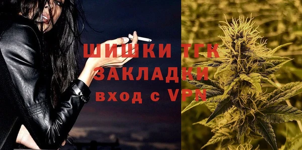 индика Куйбышев