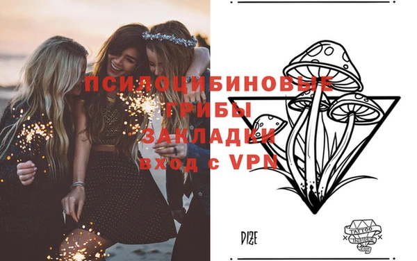 PSILOCYBIN Абинск