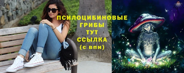 PSILOCYBIN Абинск