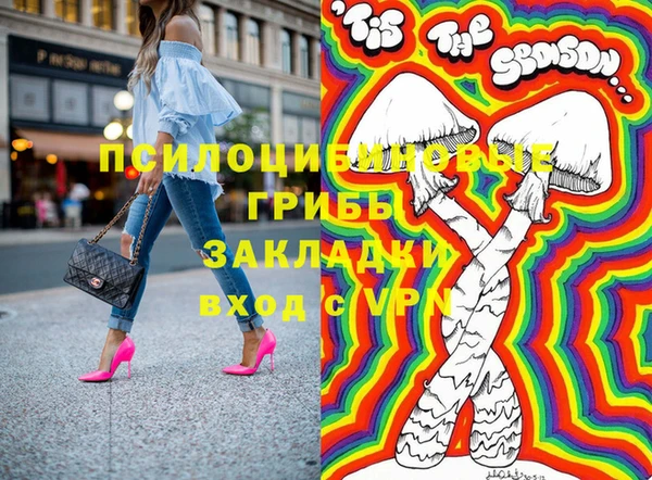 гидра Алзамай